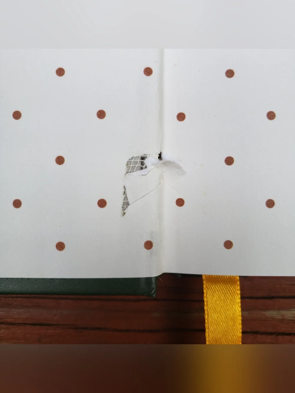 Cat Themed Journal Charles Wysocki / Dudley Wadsworth 'Catsinbag' - 160 Pages